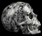 Preview: Skull Larvikite